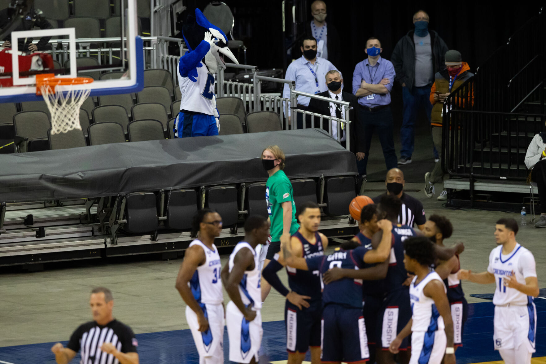 Billy Bluejay